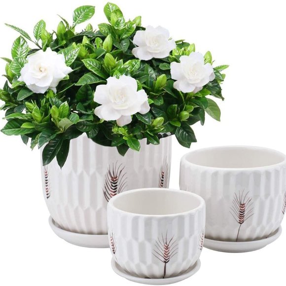 Other - New Set of 3  Modern Ceramic Planters